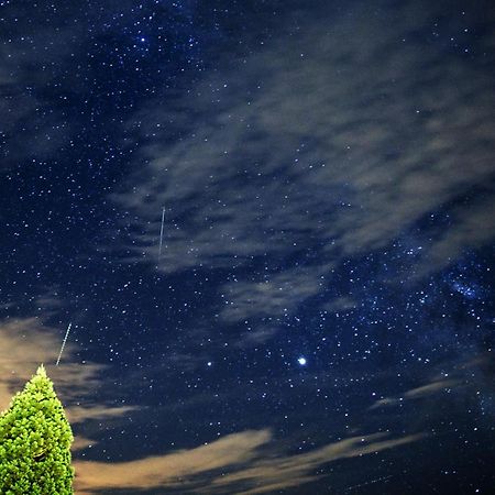 Farm Stay Pirc Laško المظهر الخارجي الصورة
