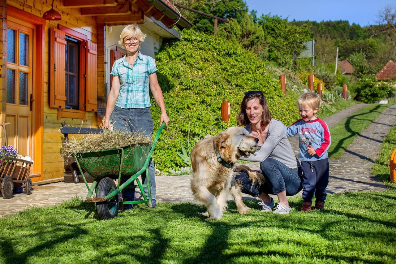 Farm Stay Pirc Laško المظهر الخارجي الصورة