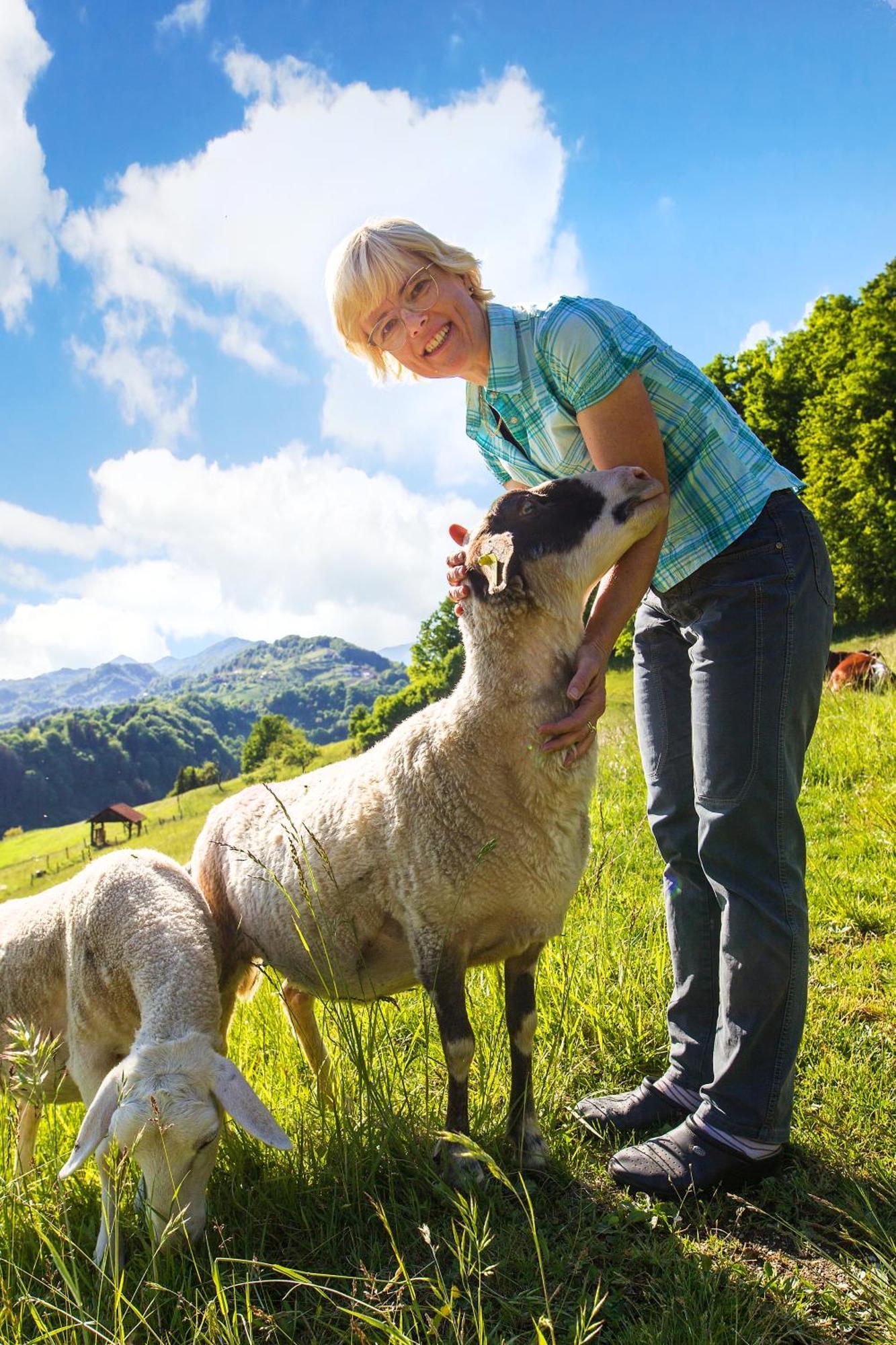 Farm Stay Pirc Laško المظهر الخارجي الصورة