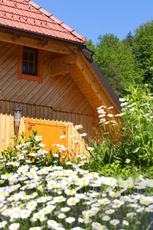 Farm Stay Pirc Laško المظهر الخارجي الصورة